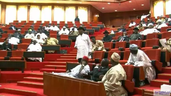Economy: Nigerians in serious pains – Senate